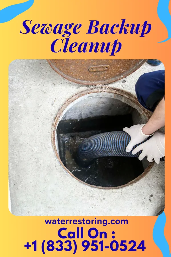 Sewage Backup Cleanup in Bryceland, LA