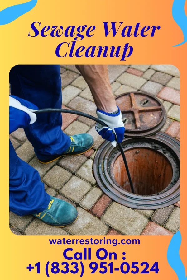 Sewage Water Cleanup in Bryceland, LA